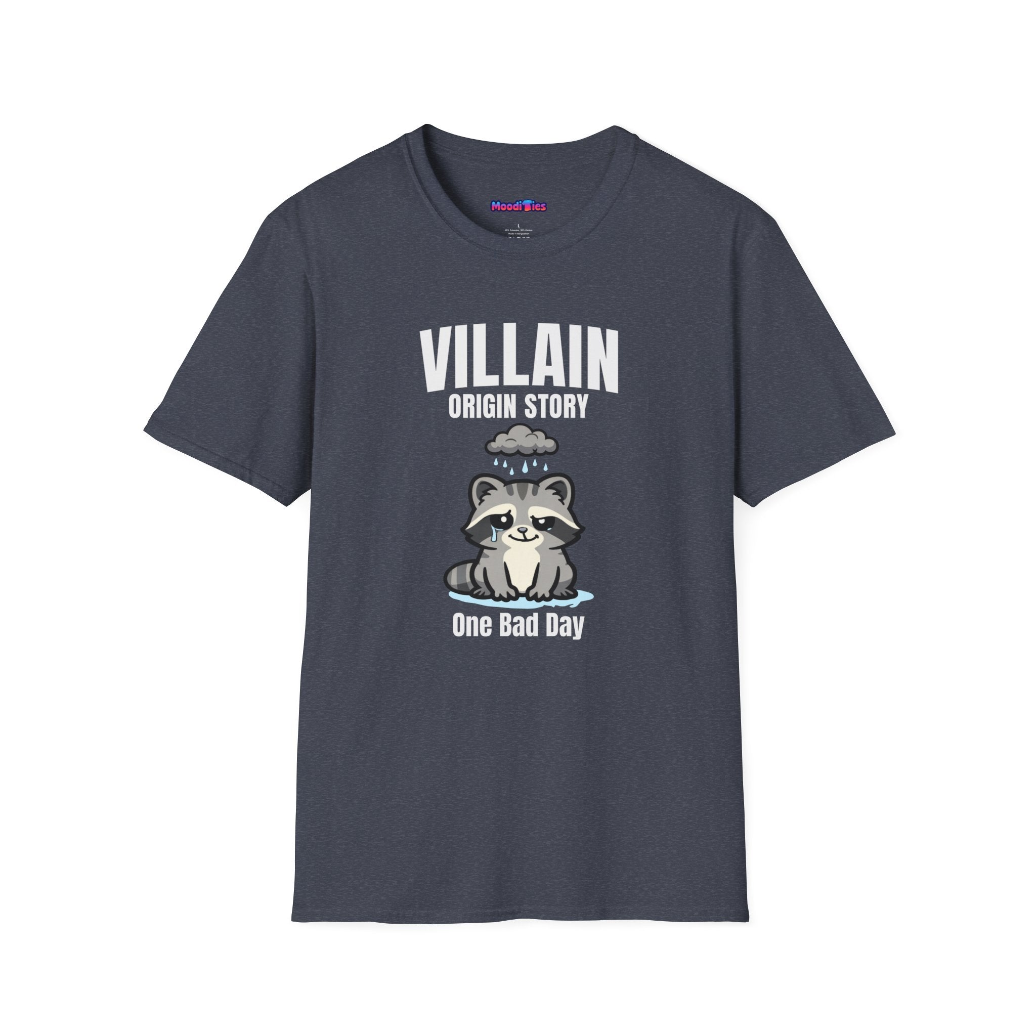 Text "Villain Origin Story" over a sad and mad raccoon being rained on by a tiny rain cloud over its head, with text "One Bad Day"underneath